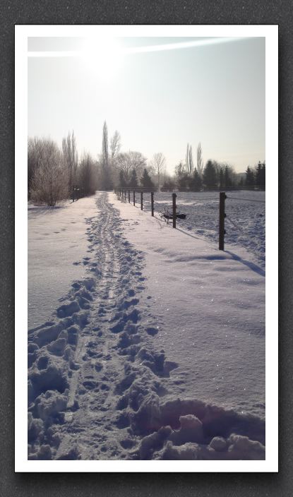 Winter 062