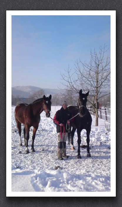 Winter 064