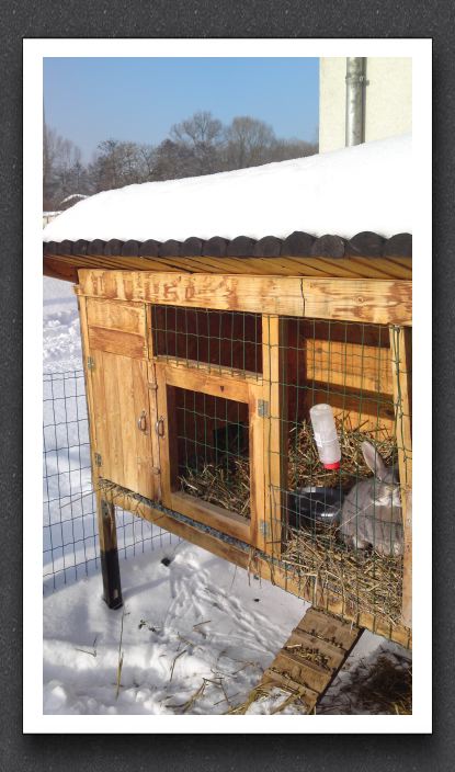Winter 075