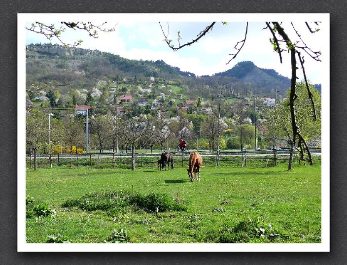 P1040509