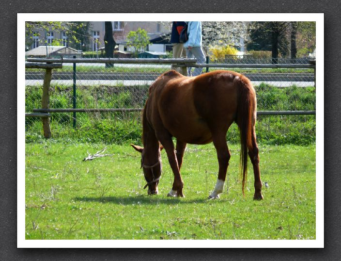 P1040438